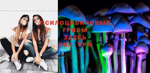 гидра Волоколамск