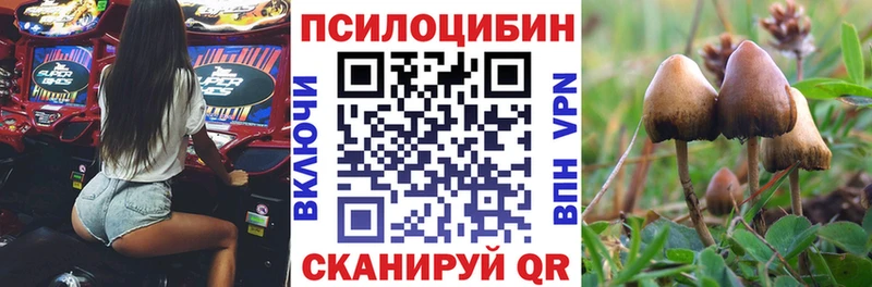 Псилоцибиновые грибы Psilocybe  Рубцовск 